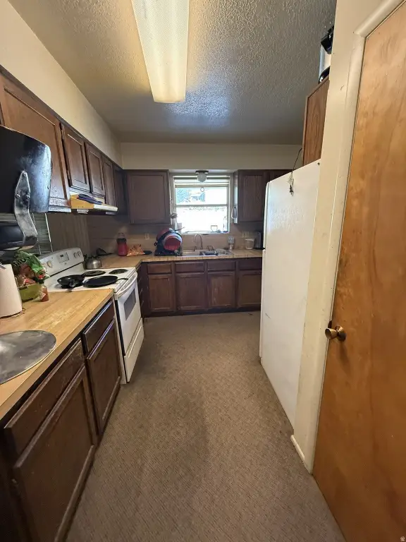 Picture 12