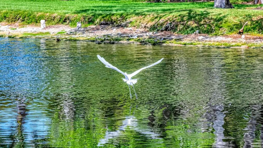 Picture 19