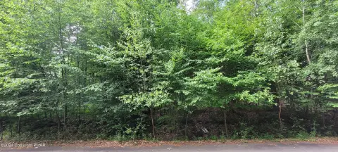 Lake Harmony Land Opportunity