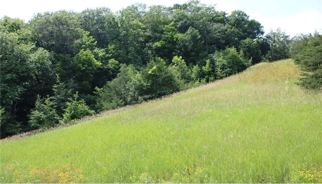 Picture 7
