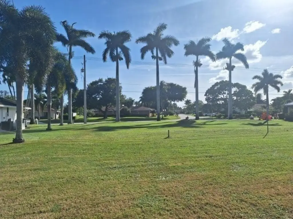 Picture 10