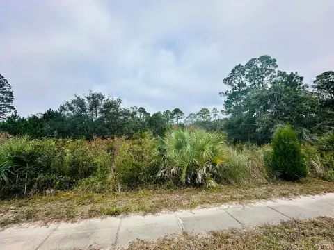 Carrabelle, FL Residential Lot