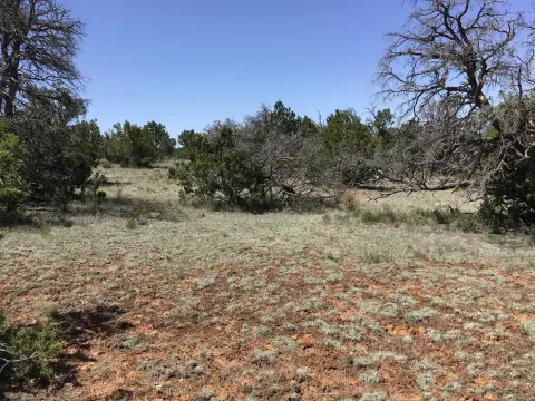 Undeveloped Land Near Ramah, NM