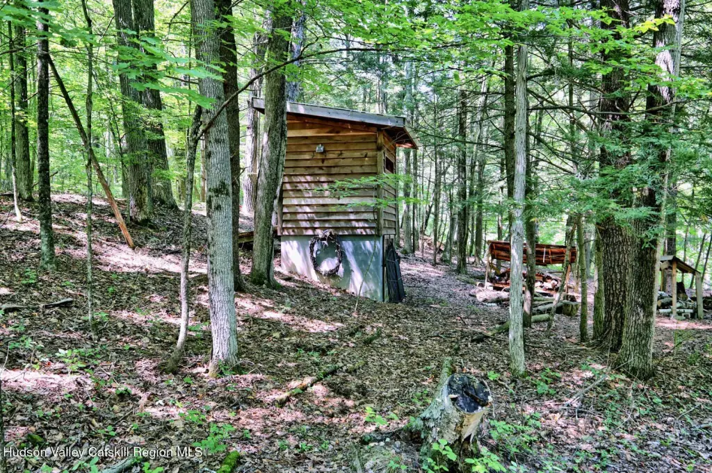 Picture 47
