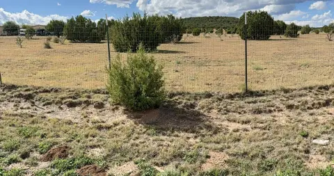 Land in Moriarty, New Mexico