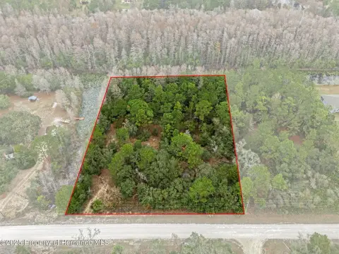 Weeki Wachee Land For Sale
