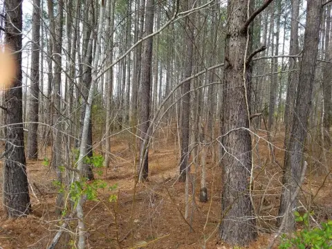 Commercial Lot Near Lake Gaston