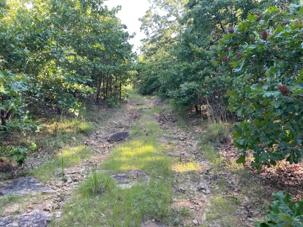 Picture 36