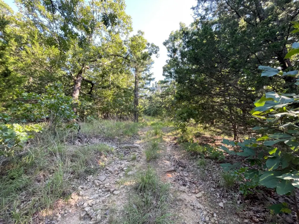 Picture 22
