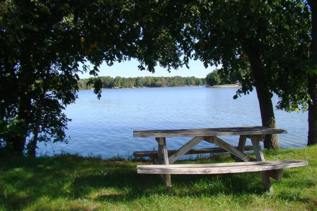Picture 14
