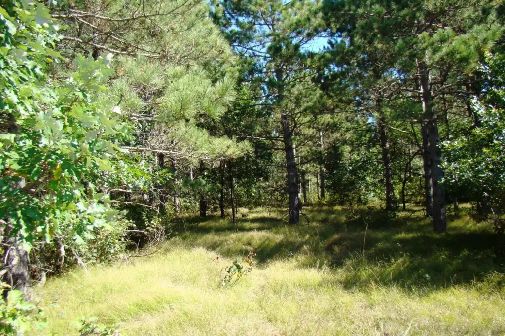 Picture 6