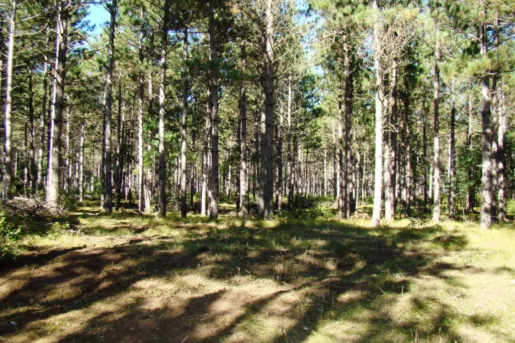Picture 9