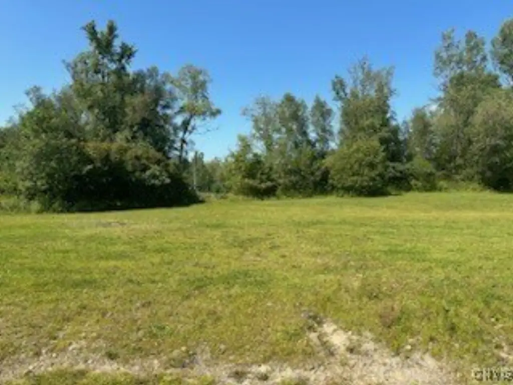 Picture 3