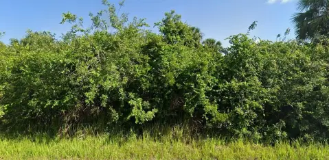 Buildable Lot in Palm Bay