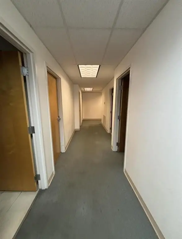 Picture 10