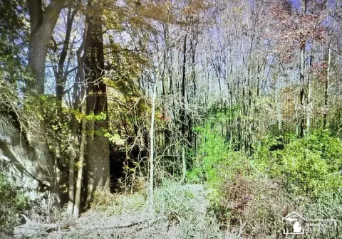 Van Buren Twp Wooded Lot