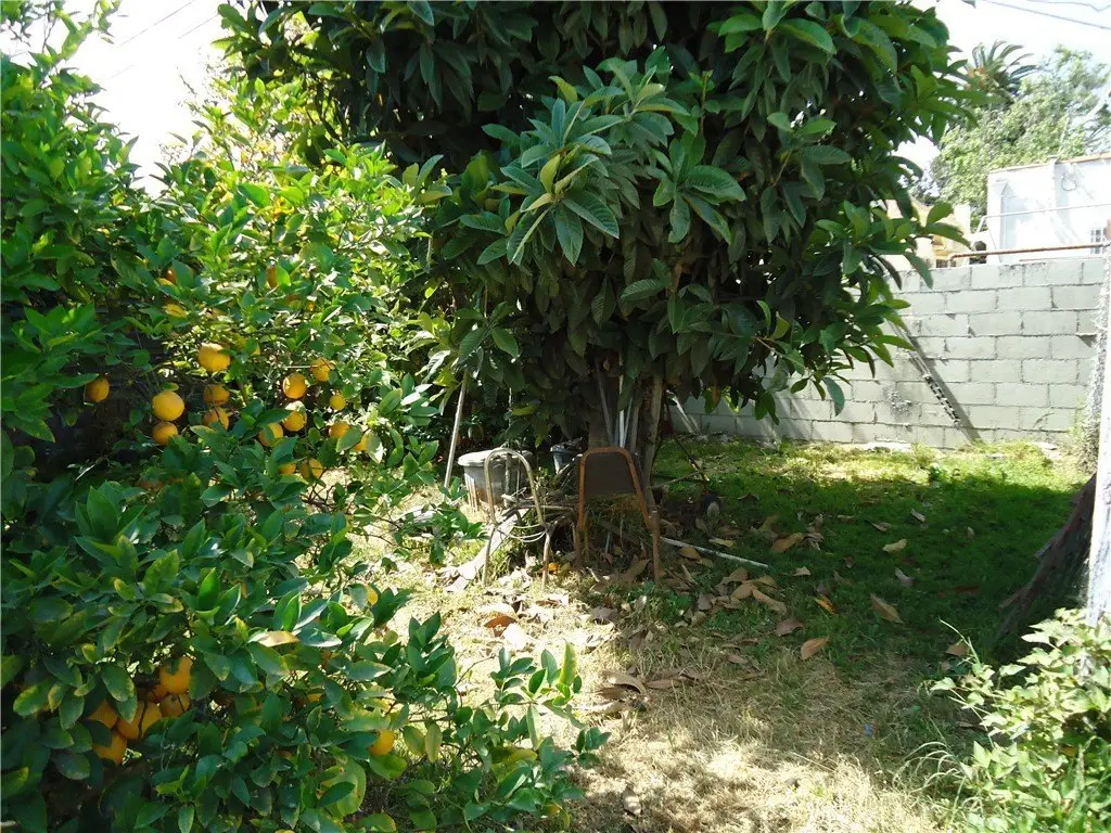 Picture 3