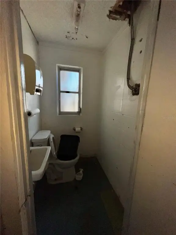 Picture 27