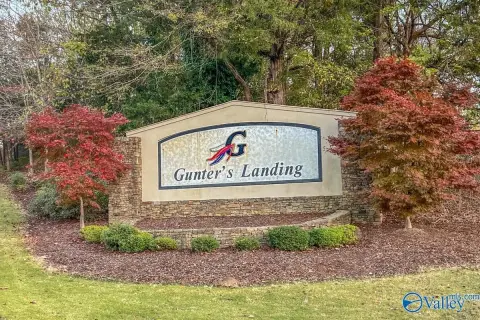 Land in Gunter's Landing