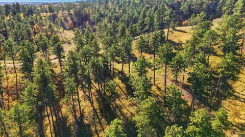 Secluded Acreage in Rapid City