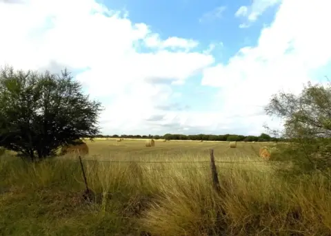 Quemado, TX Farm/Ranch Land