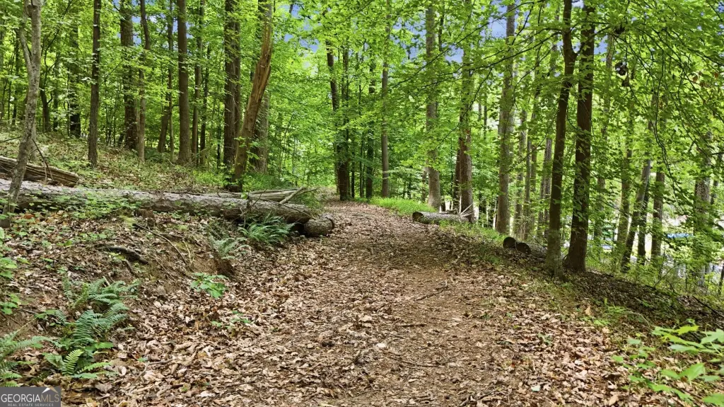 Picture 24