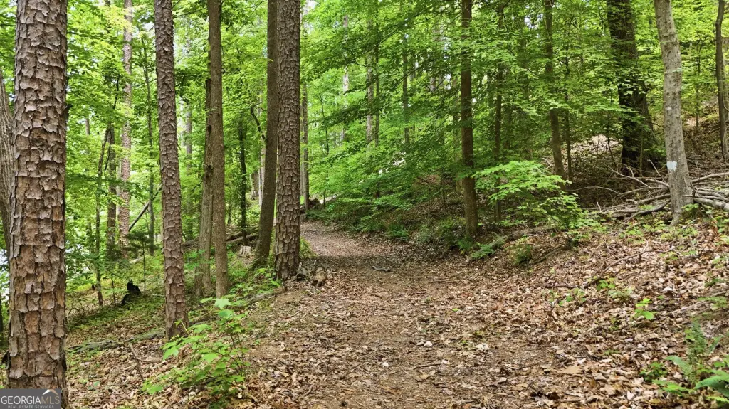 Picture 23