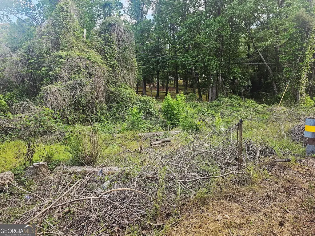 Picture 5