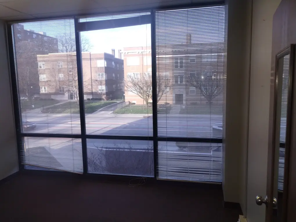 Picture 11
