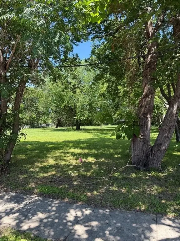 Picture 6