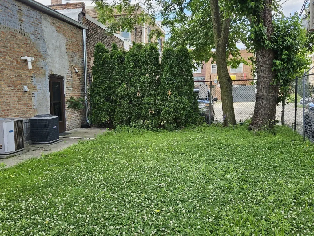 Picture 10