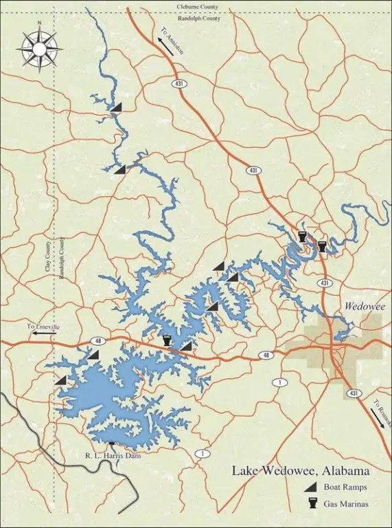 Picture 16