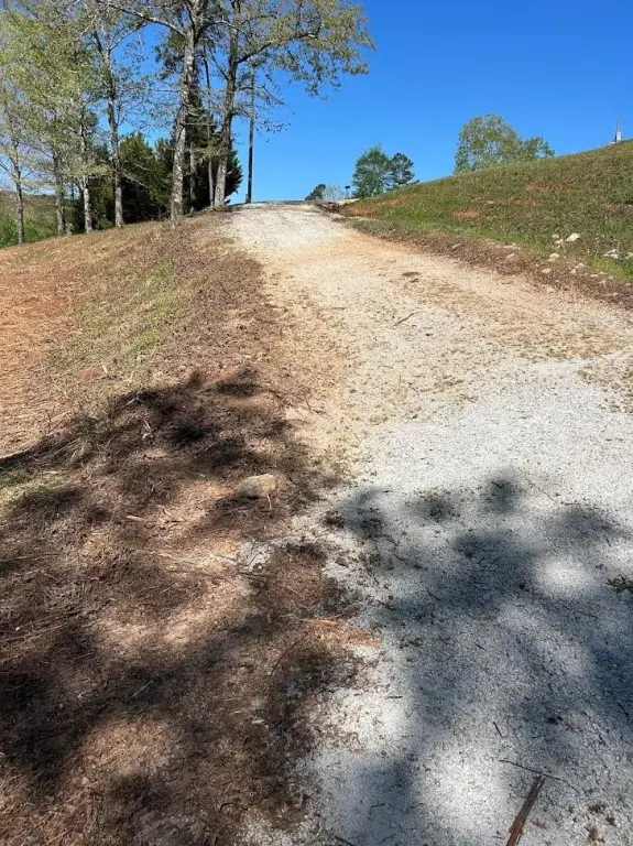 Picture 4