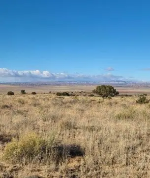 Los Lunas Land with Panoramic Vistas