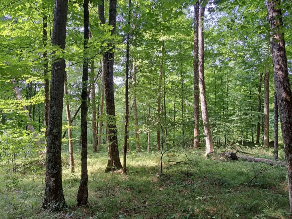 Picture 28