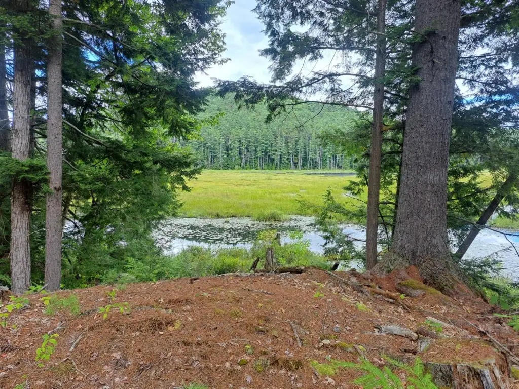 Picture 24