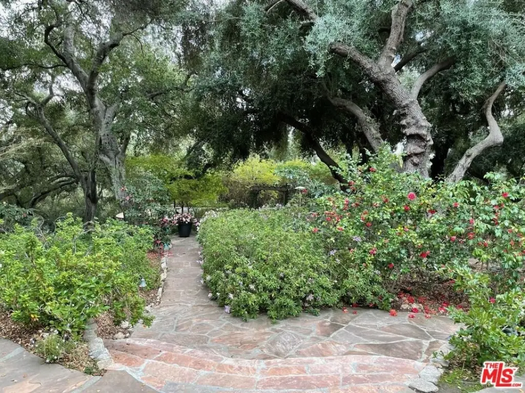 Picture 24