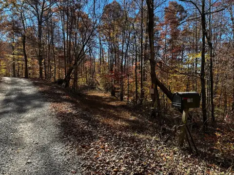 Secluded Wooded Land Parcel