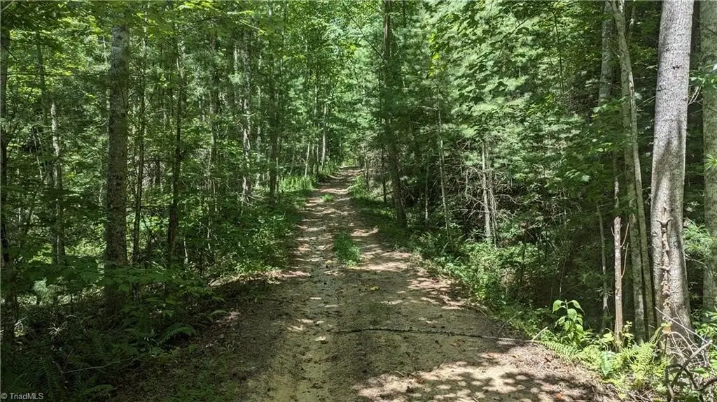 Picture 20