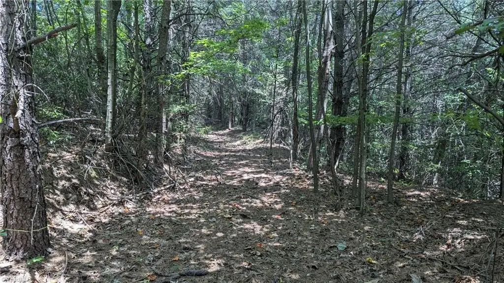 Picture 36