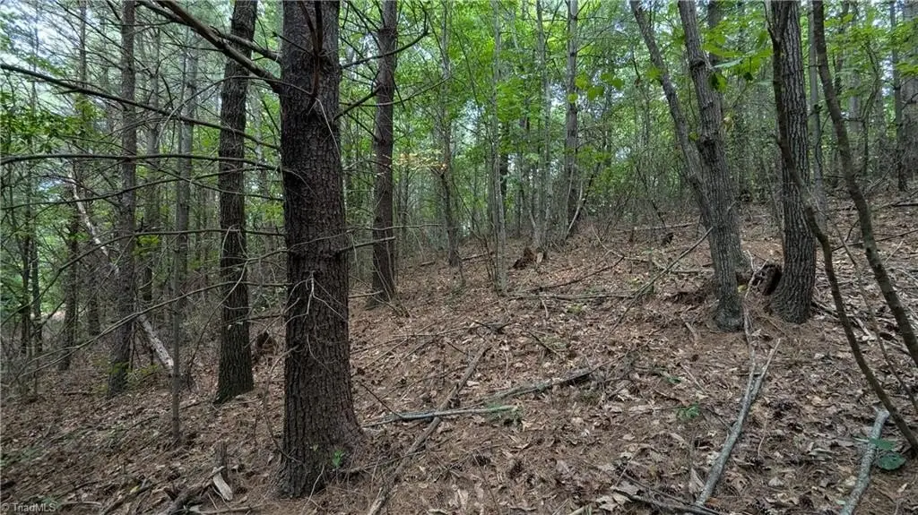 Picture 43