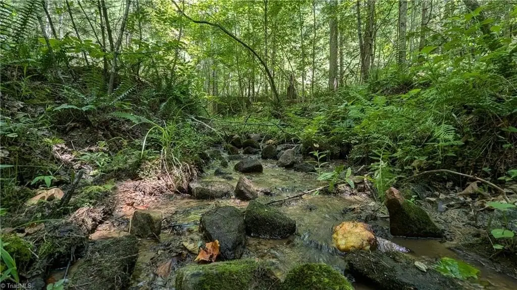 Picture 26