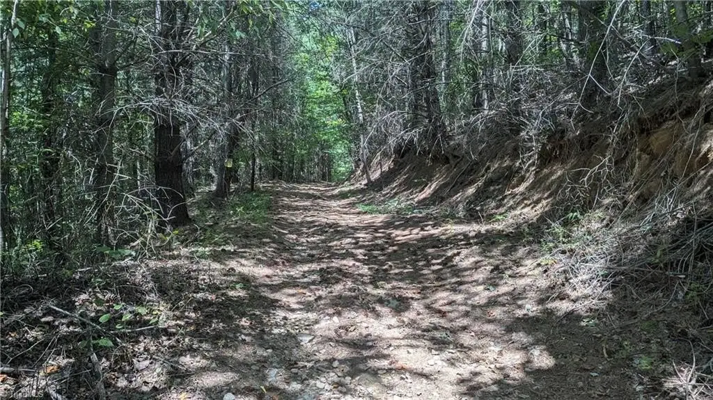 Picture 17
