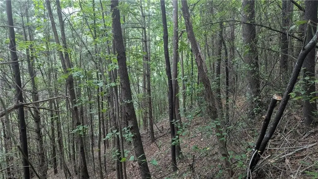 Picture 48