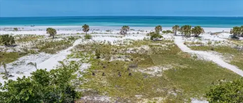 Gulf-Front Land in Clearwater Beach