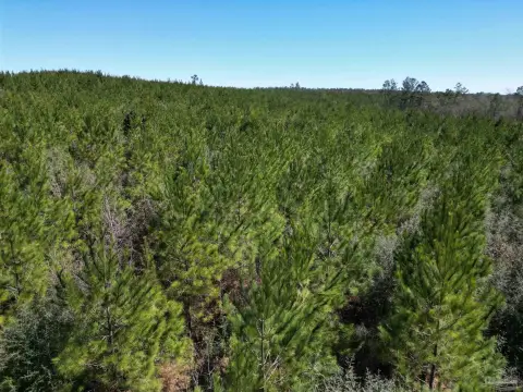 7.5 Acres of Timbered Land