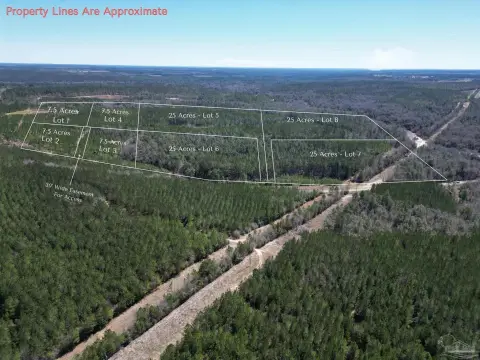 7.5 Acres Timberland Near Atmore