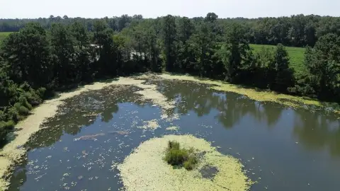 28 Acres Country Farm Land