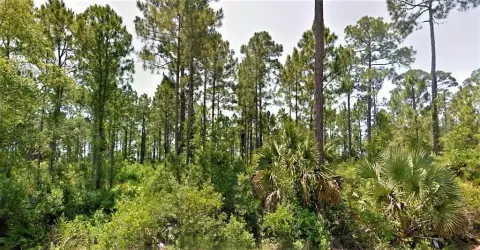 Residential Lots Overlooking Indian Lagoon