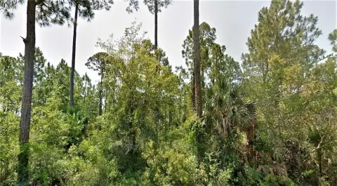 Port St. Joe Residential Land
